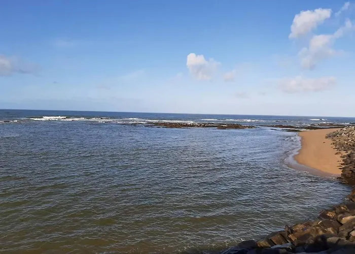 Appartement Studio Cabine 2 A 4 Personnes Face Mer. *