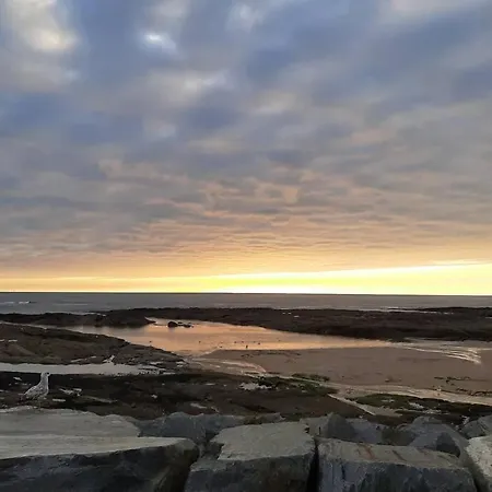 公寓 Studio Cabine 2 A 4 Personnes Face Mer.